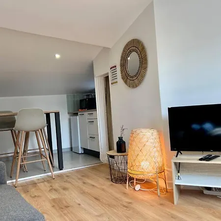 Appartement F2 *la Treille* Centre Historique Fd 3p Clermont-Ferrand